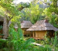 Fern Resort 